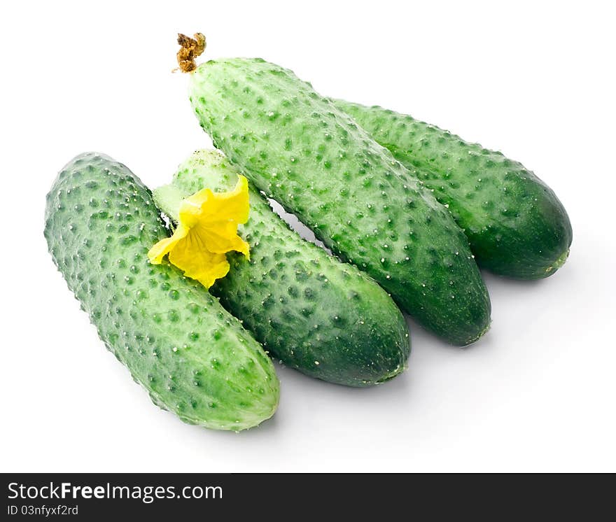 Fresh Cucumbers And Inflorescence