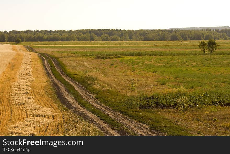 Country road on a hot summer day