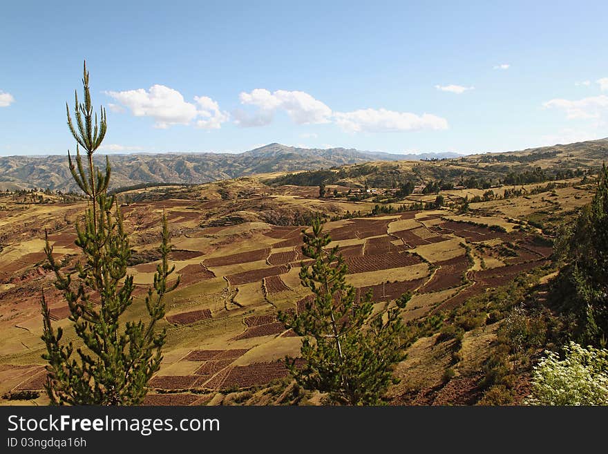 View on agriculture gardens in mountains, Peru