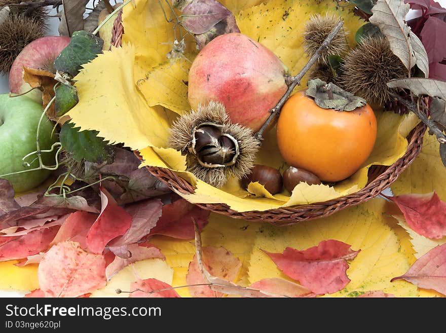 Autumnal Fruit Composition In A Basket