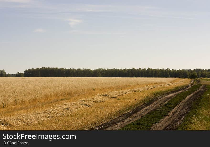 Country road on a hot summer day