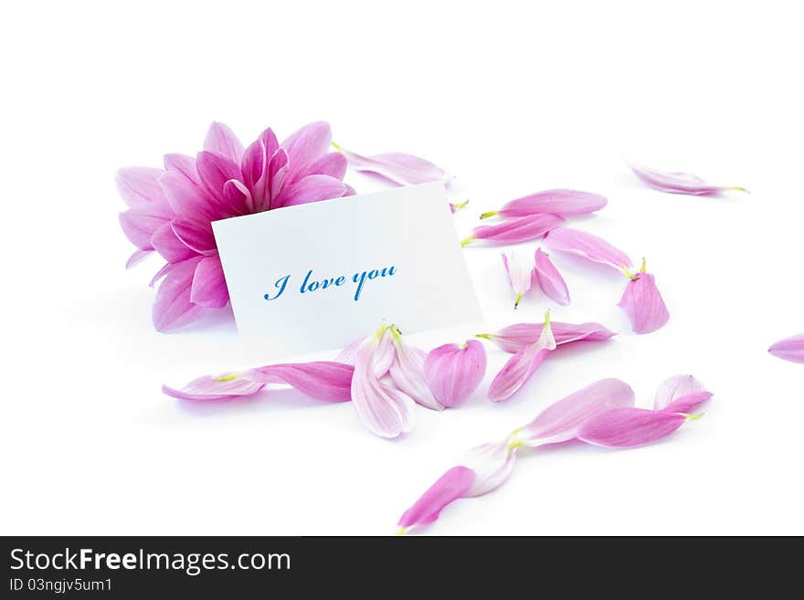 Says I love you on a background of beautiful flowers