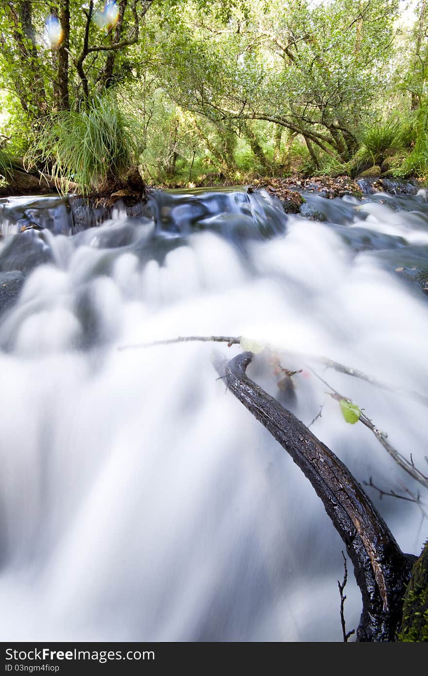 Peaceful mountain stream flows through forest. Peaceful mountain stream flows through forest