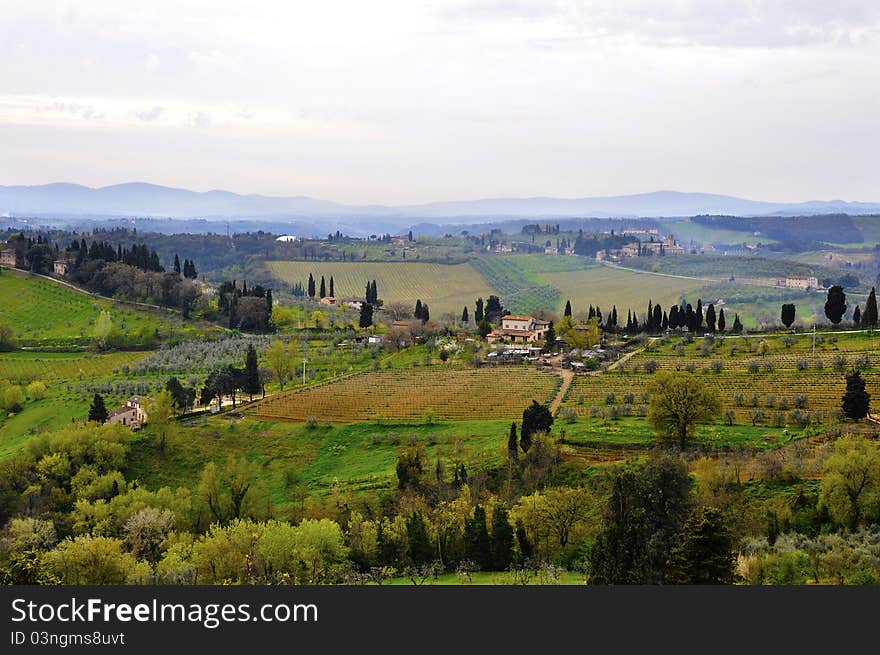 Typical Tuscany landscape in spring