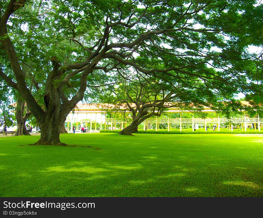 Garden of a palace in Thailand.