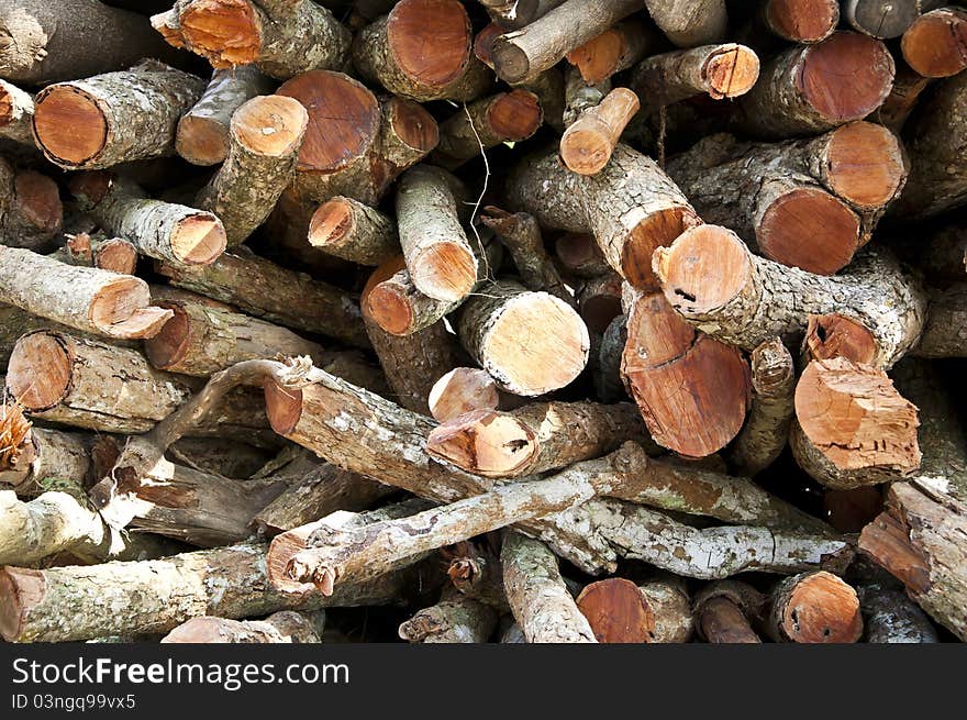 Firewood for use as fuel in winter. Firewood for use as fuel in winter