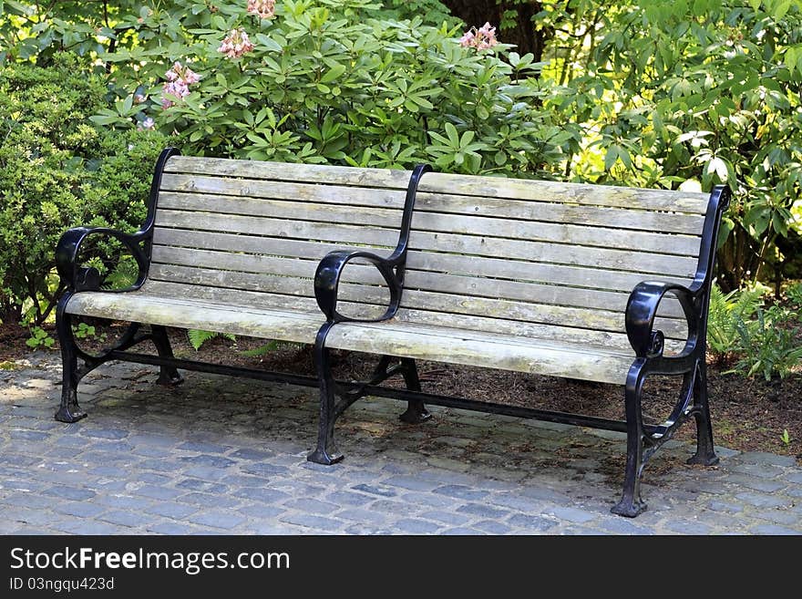 A weathered wood and black metal bench with an armrest in the middle set on gray paver bricks in front of pink flower rhododendrons in the summer shade. A weathered wood and black metal bench with an armrest in the middle set on gray paver bricks in front of pink flower rhododendrons in the summer shade.