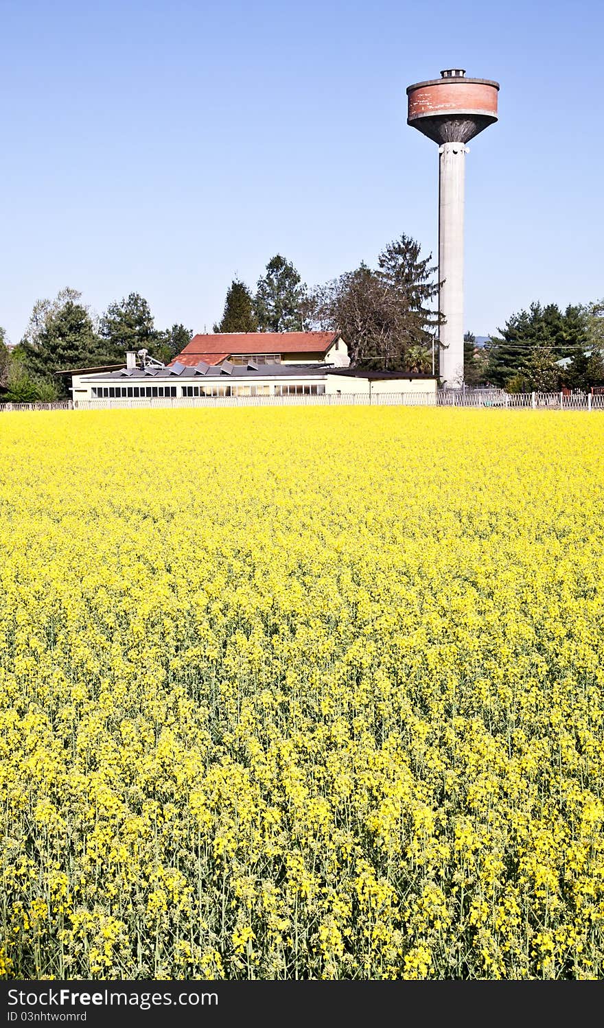 Country and water tower