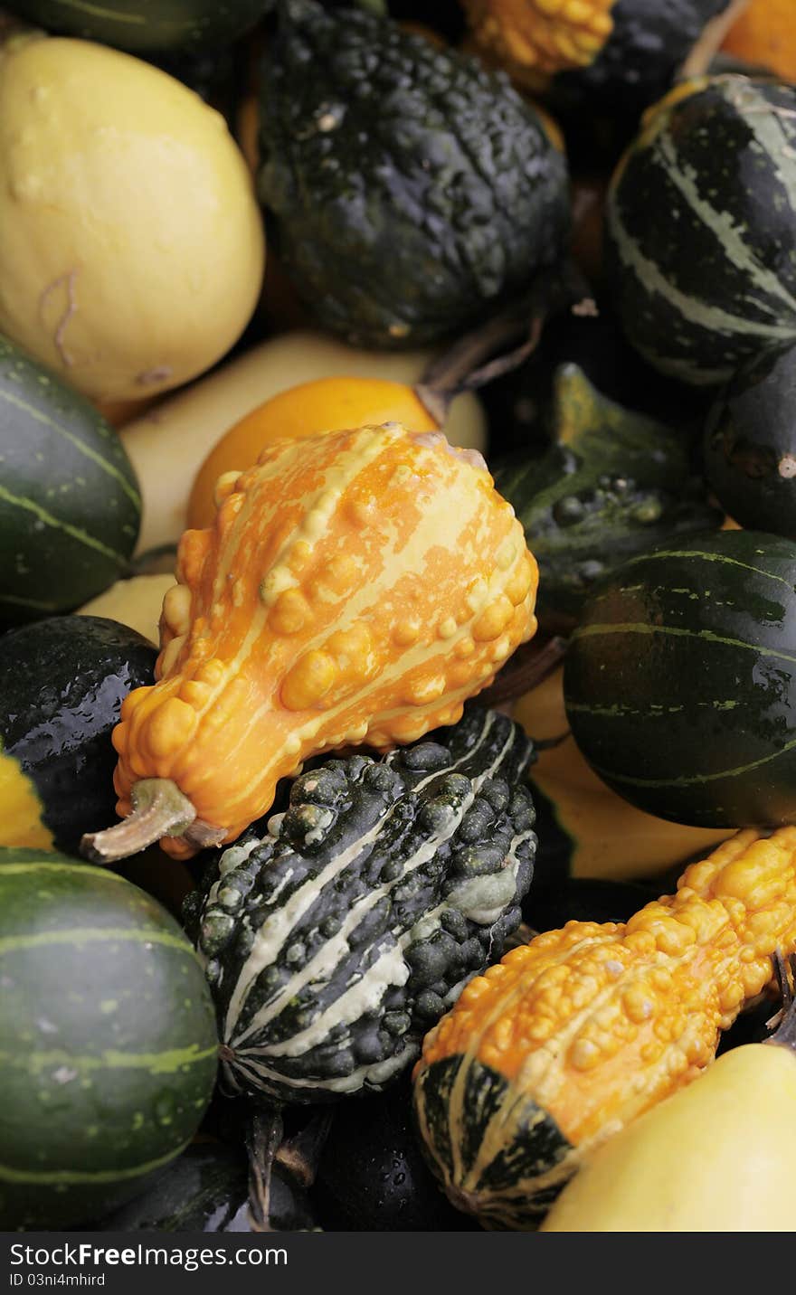 Assorted pumpkins at the market. Assorted pumpkins at the market