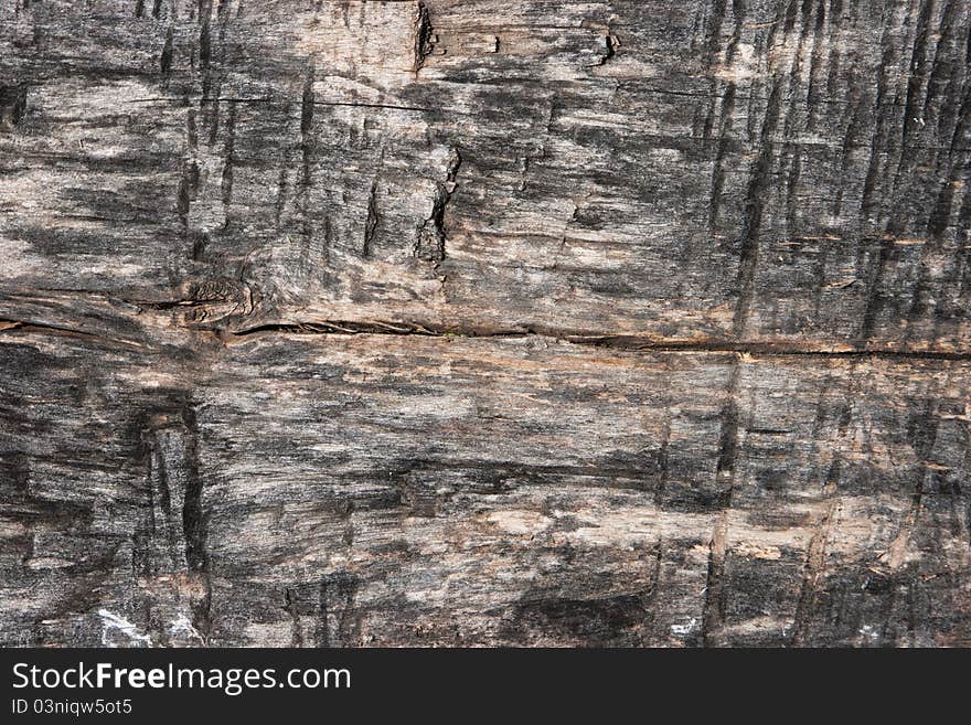 Wood texture