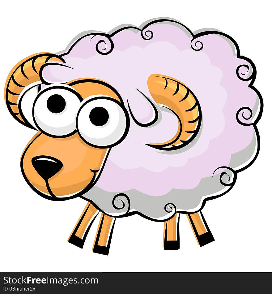 Funny fluffy sheep