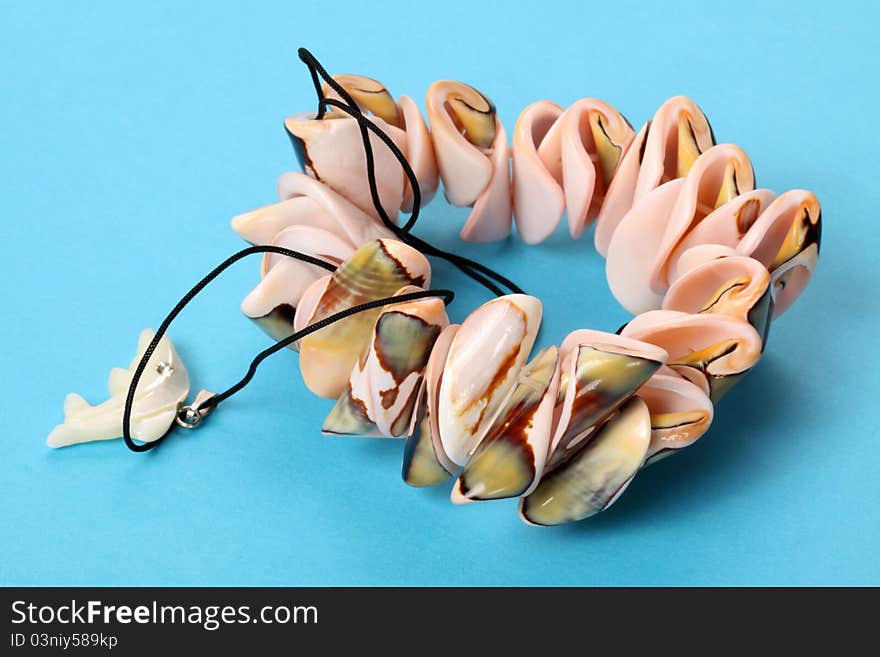 Bracelet of seashells