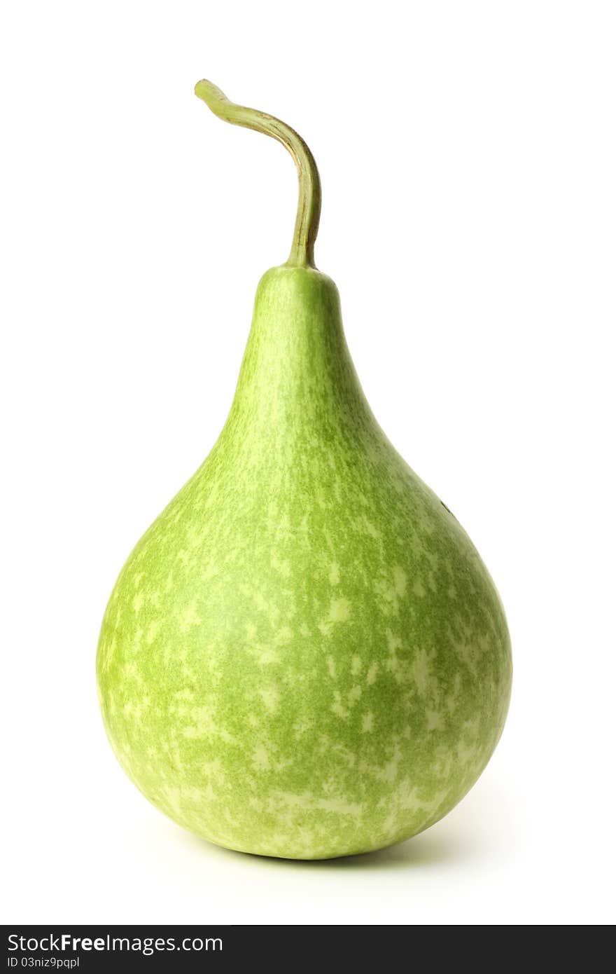 Gourd