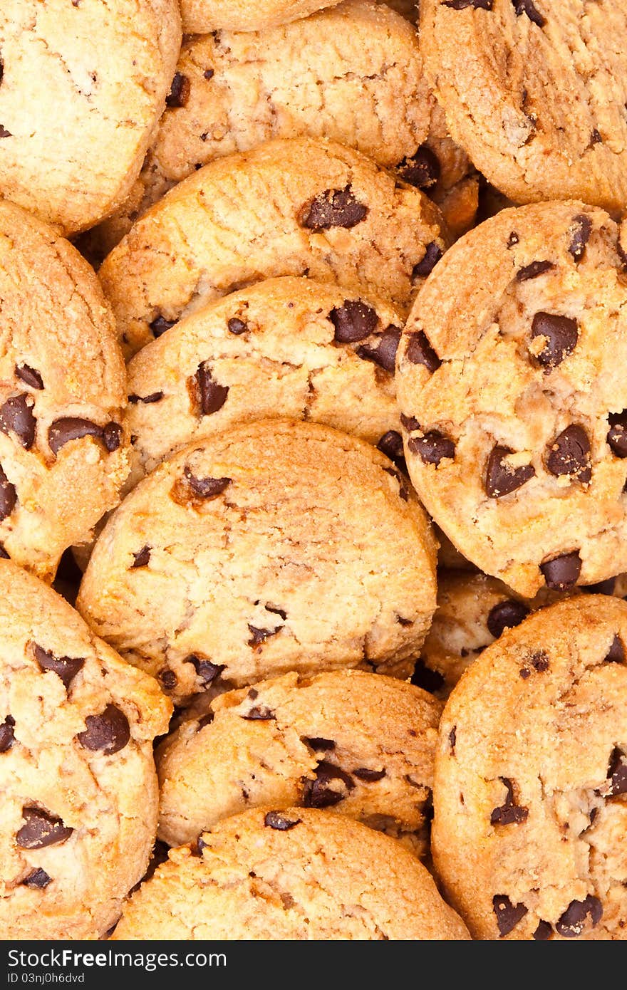 A closeup of chocolate cookies