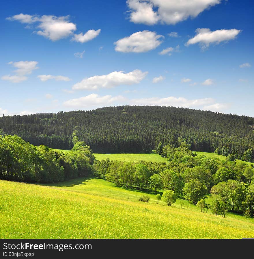 Spring landscape