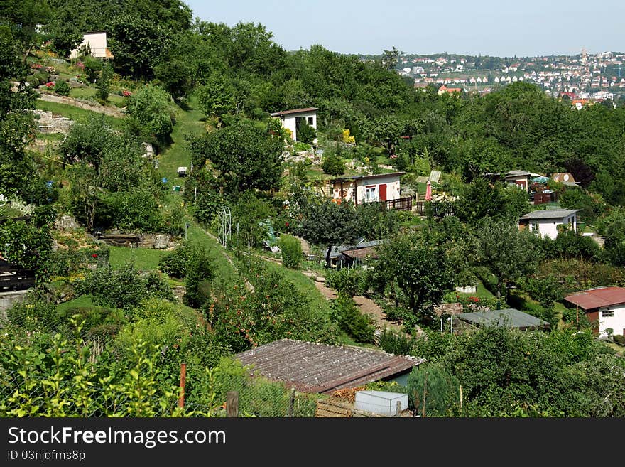 Allotments on a nice summer day in Stuttgart, Germany.