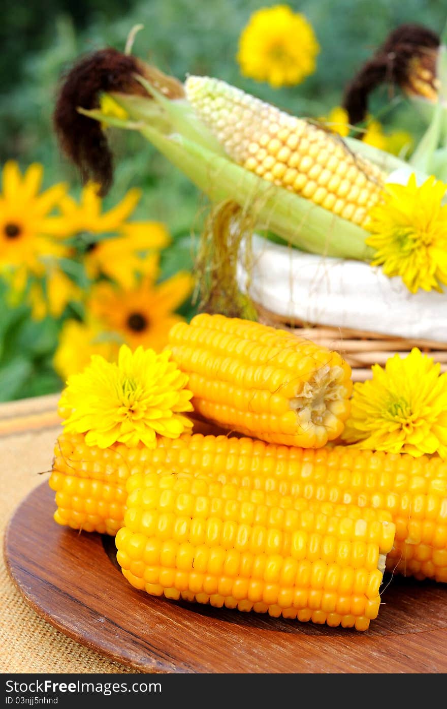 Cooked and raw corncobs with yellow flowers on the background. Cooked and raw corncobs with yellow flowers on the background.