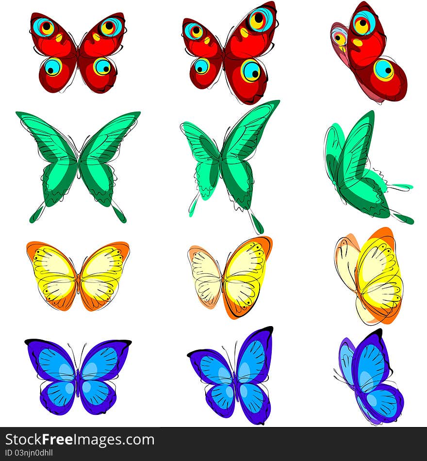 A set of different butterflies, various types, color options and location. A set of different butterflies, various types, color options and location