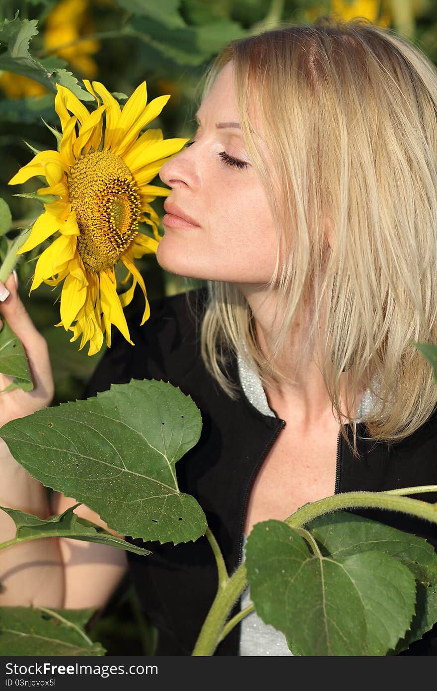 Beauty Woman And Sunflowers