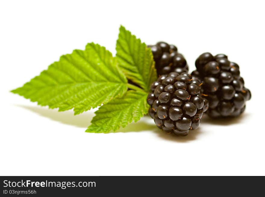 Blackberries