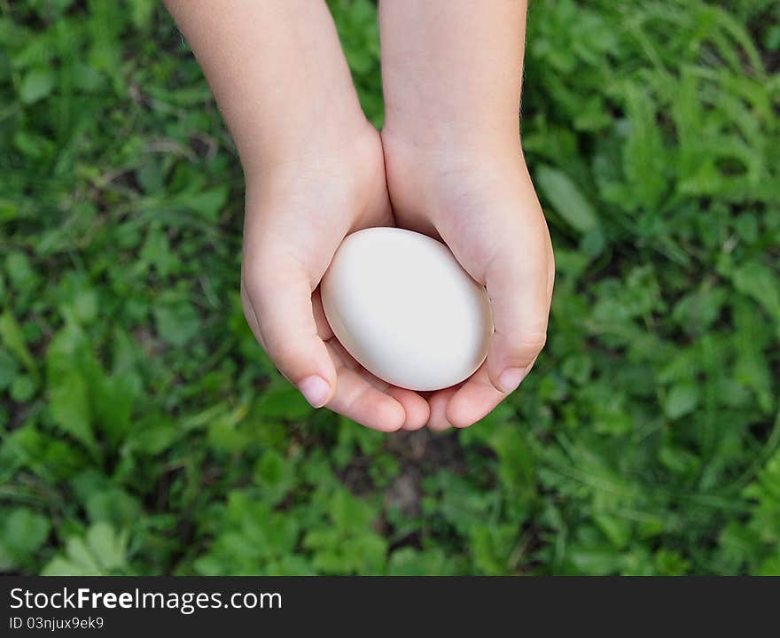 Egg In Hands