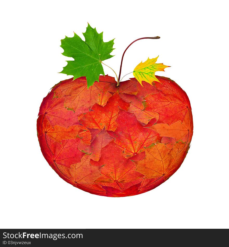 Apple made from autumn maple leaves isolated on white. Apple made from autumn maple leaves isolated on white