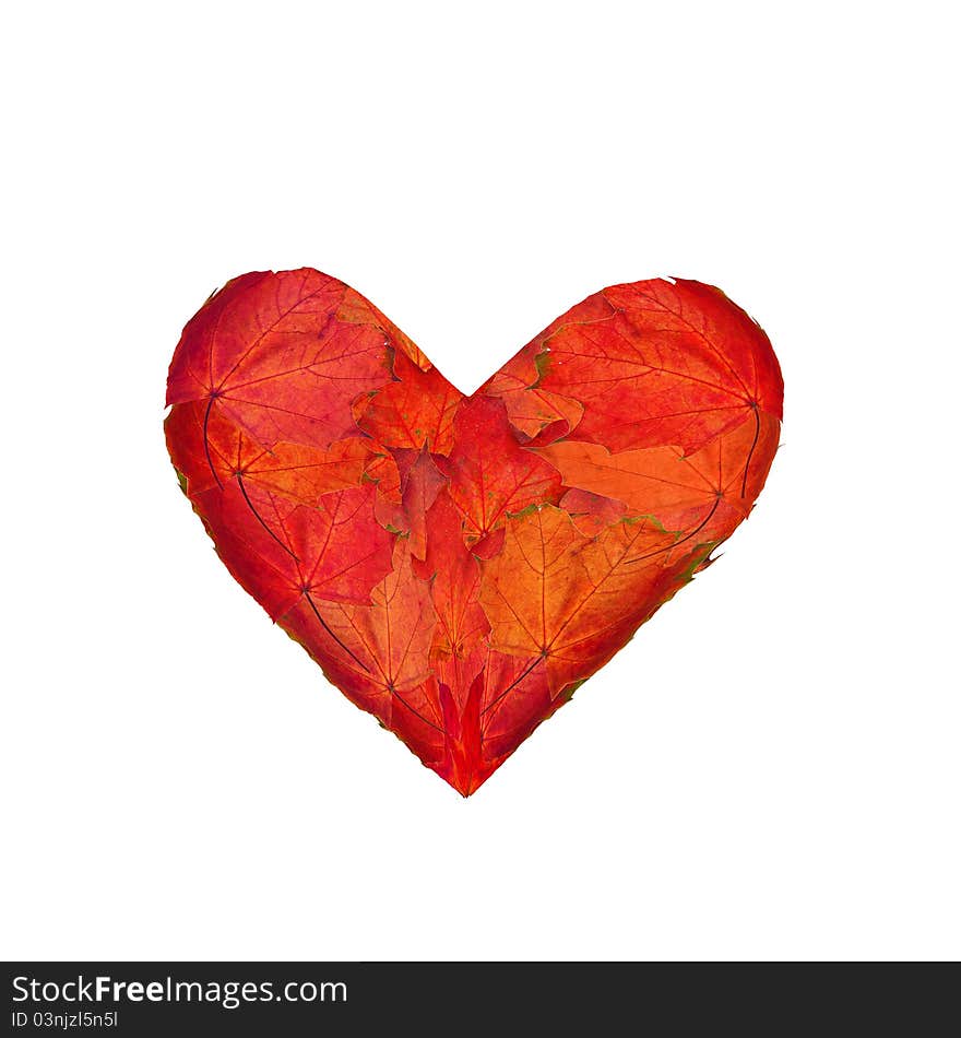 Heart Made From Leaves