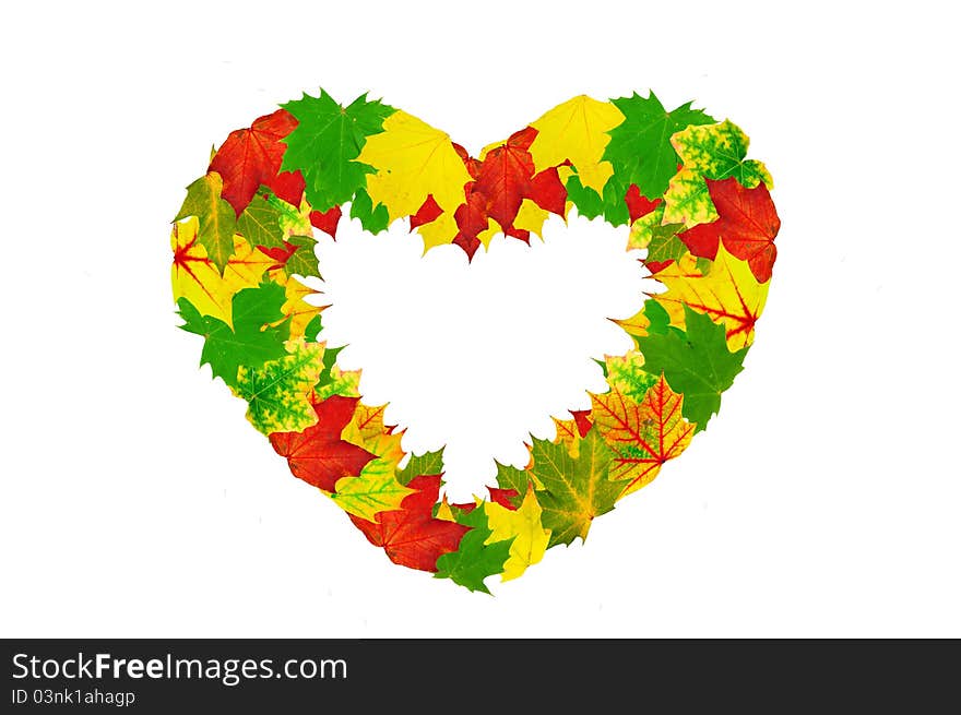 Heart Shape Made By Maple Autumn Leaves