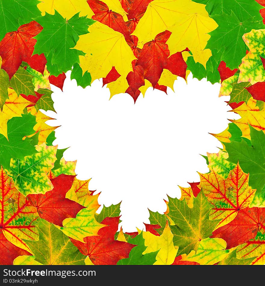 Heart shape bright autumn leaves frame on white background. Heart shape bright autumn leaves frame on white background