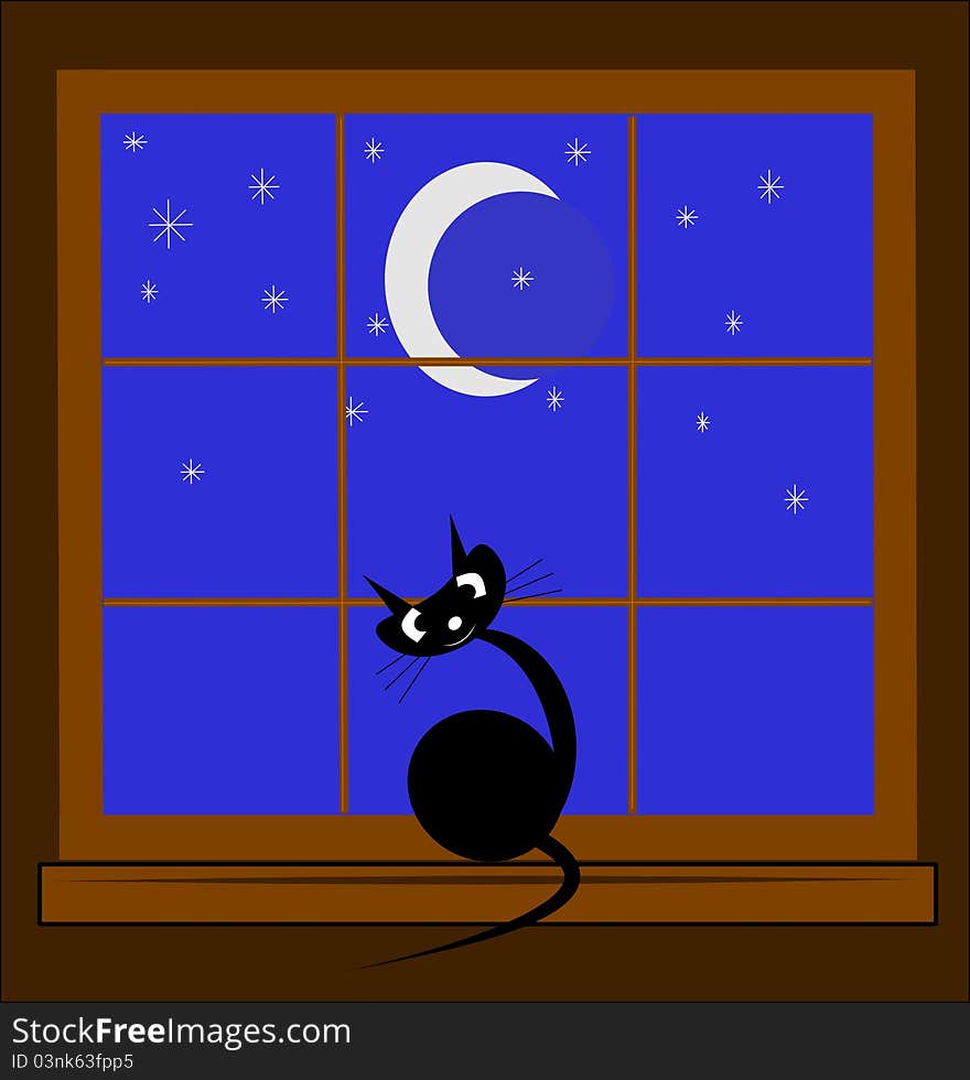 Cat in window at night