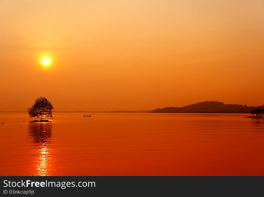 Sunset on the tree