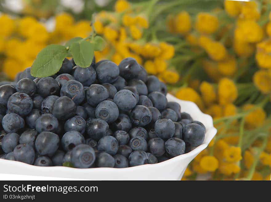 Bilberries