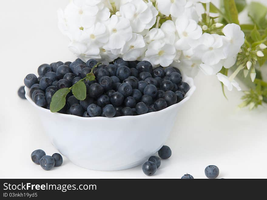 Bowl of bilberries on  background of phlox flowers