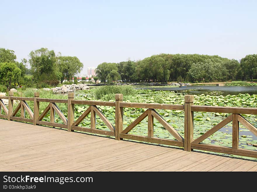 Lotus pond and bridge in a park in china