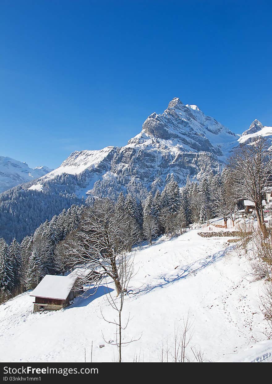 Winter In Alps