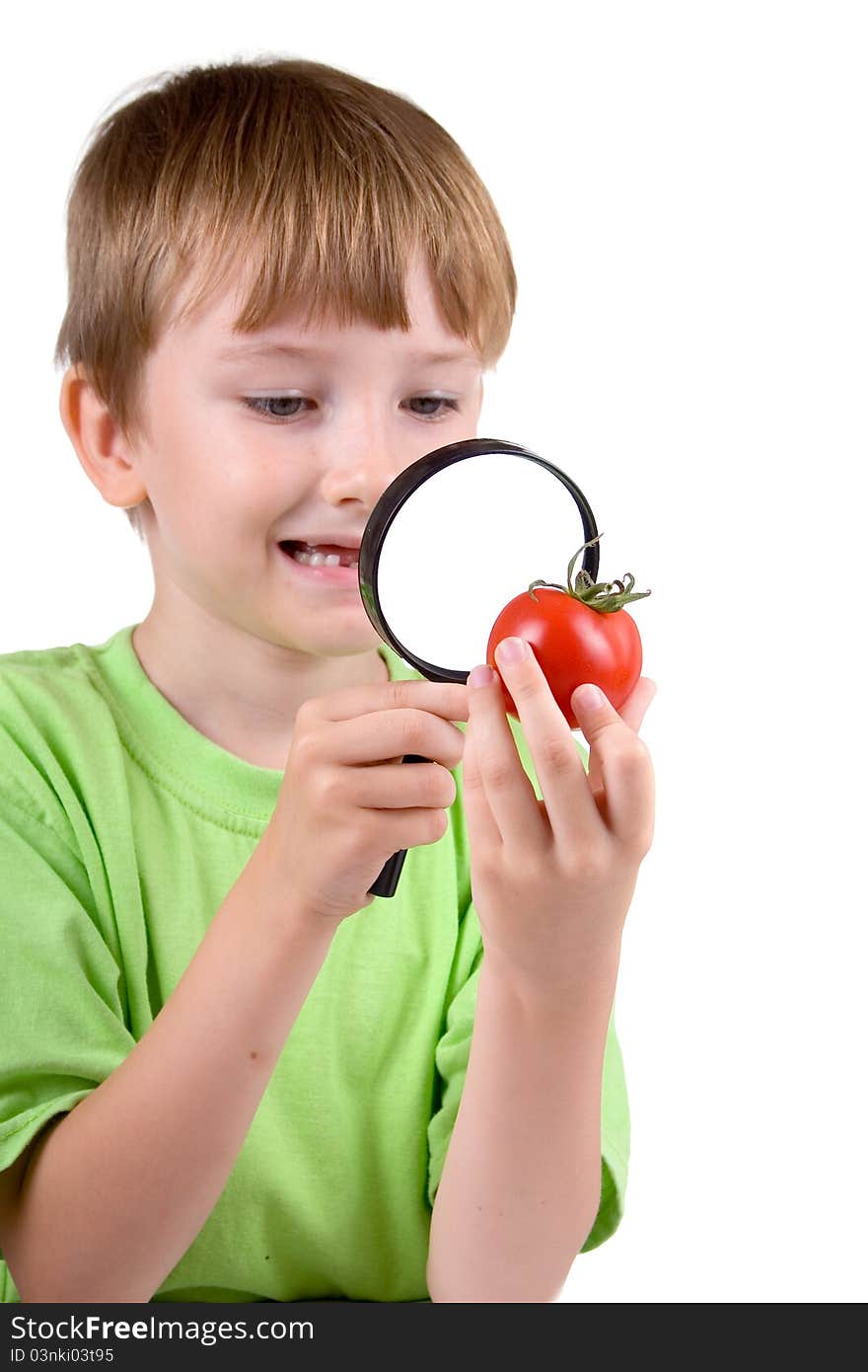 Boy examines a tomato with a magnifying glass isolated on a white background