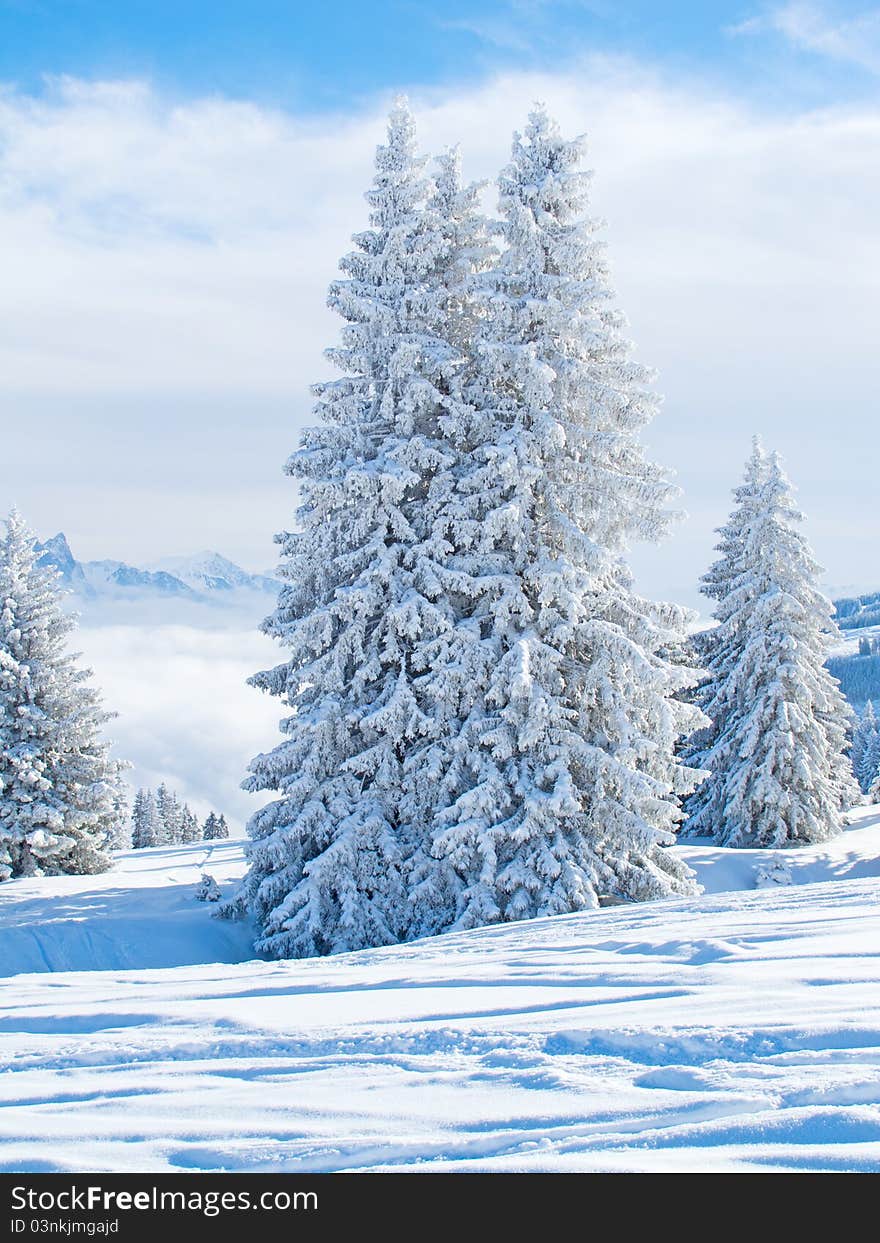 Winter in alps