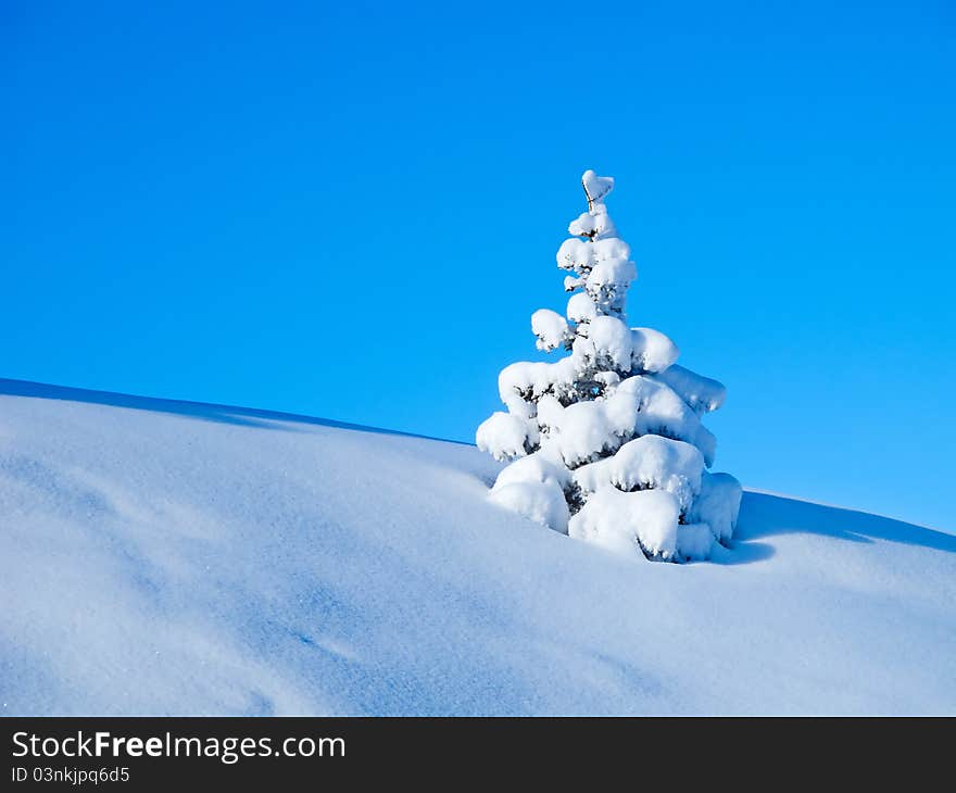 Winter in alps