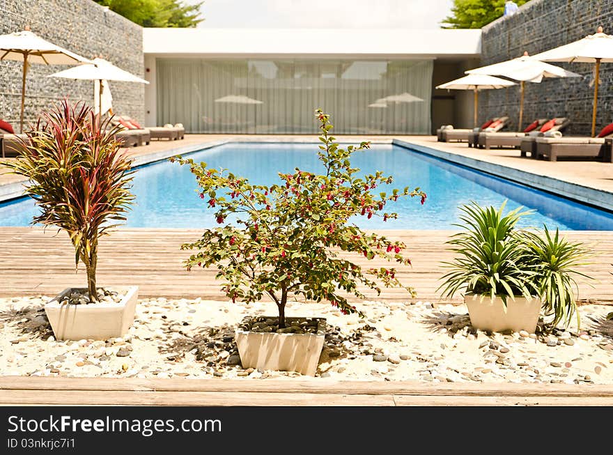 Tree garden with swimming pool