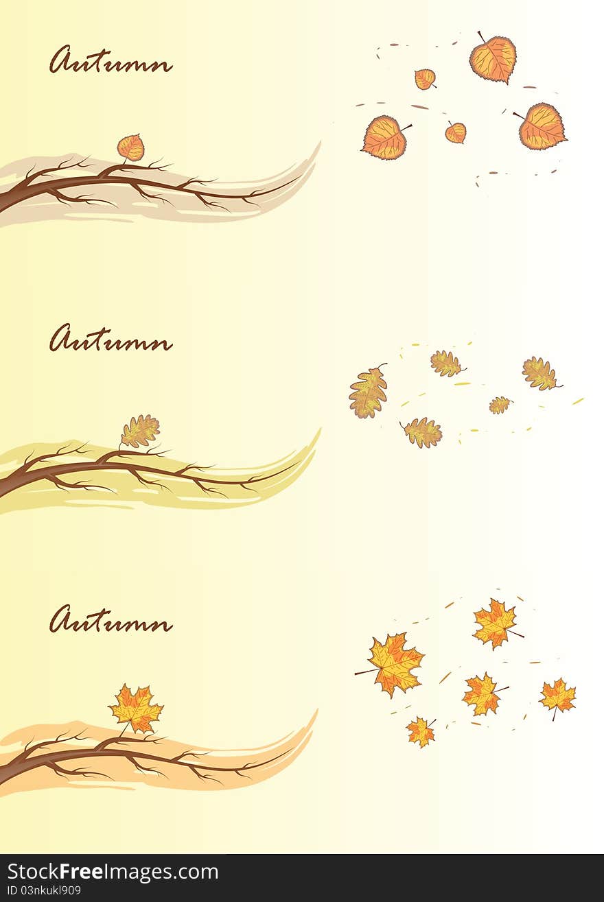 Autumn branches, vector illustration