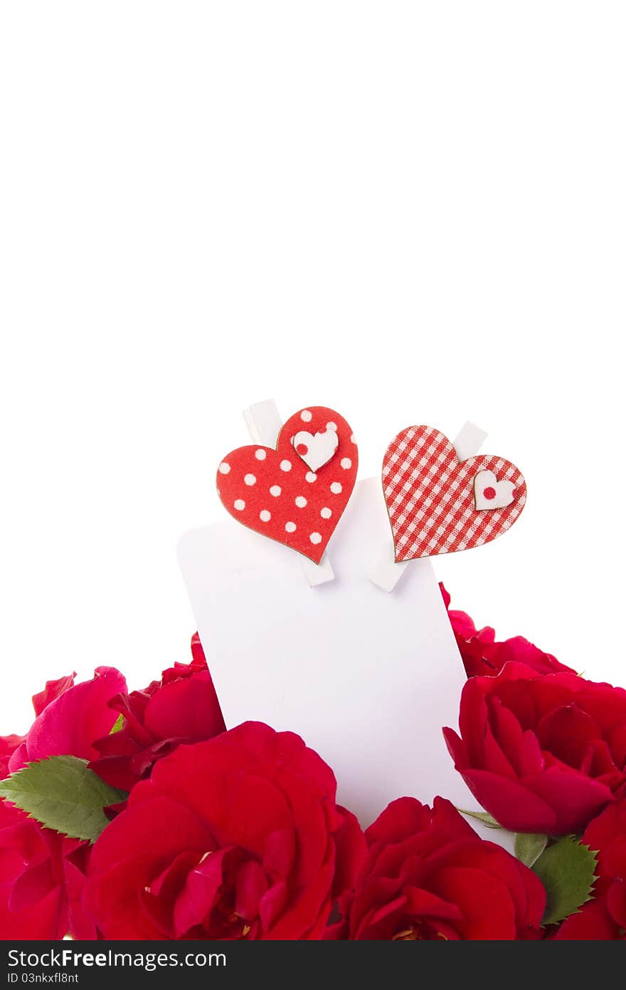 Bouquet of beautiful red roses with a blank gift card. Isolated