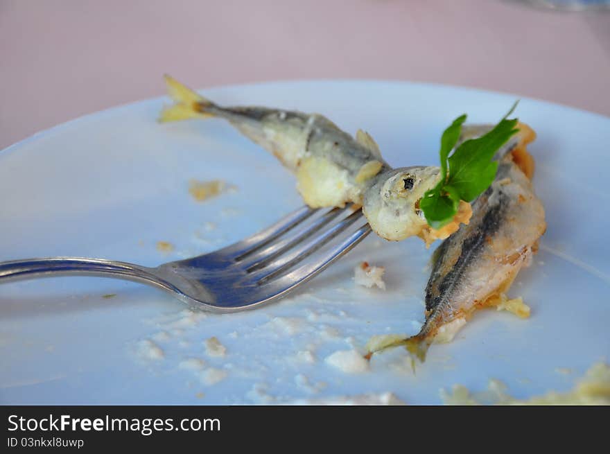 Fried fish on plate in order to eat