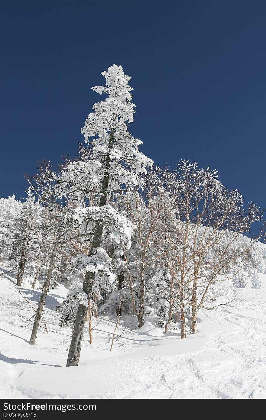 Snow mountains in Nagano Japan