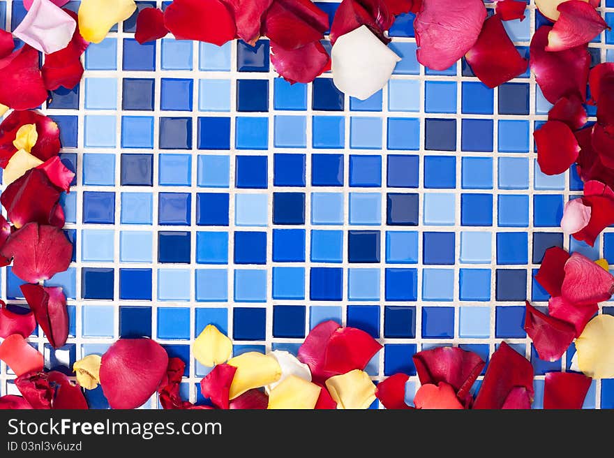 Frame of multi-colored rose petals in the bathroom on a tile mosaic