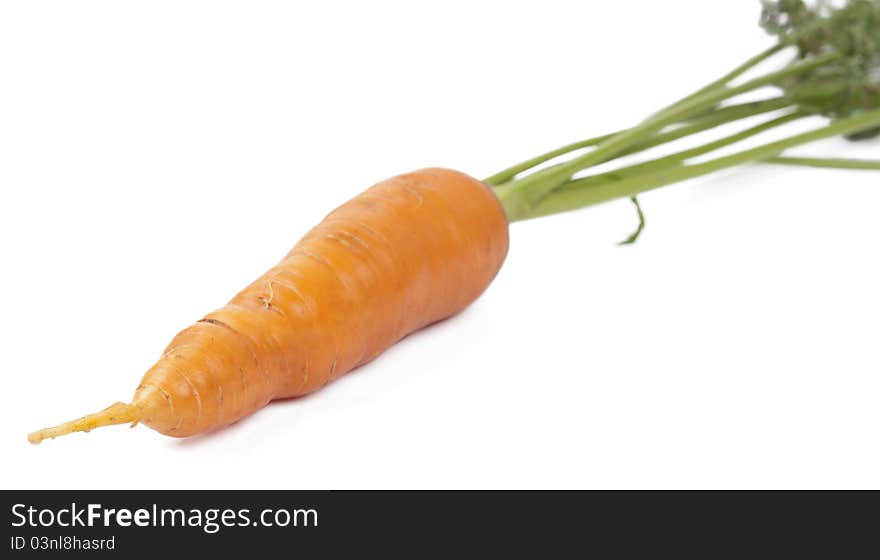 Carrot on a white background