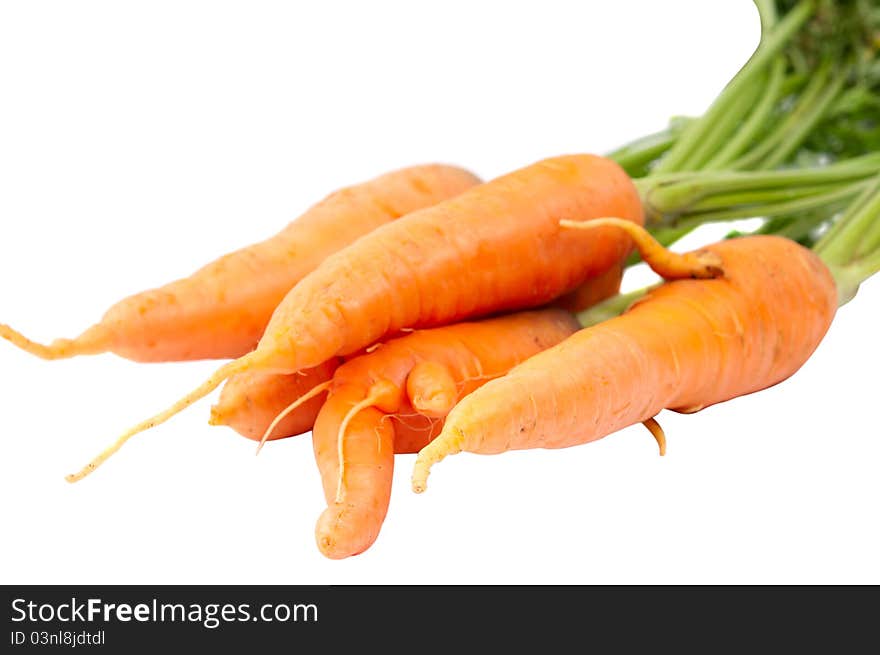 Carrots on a white background