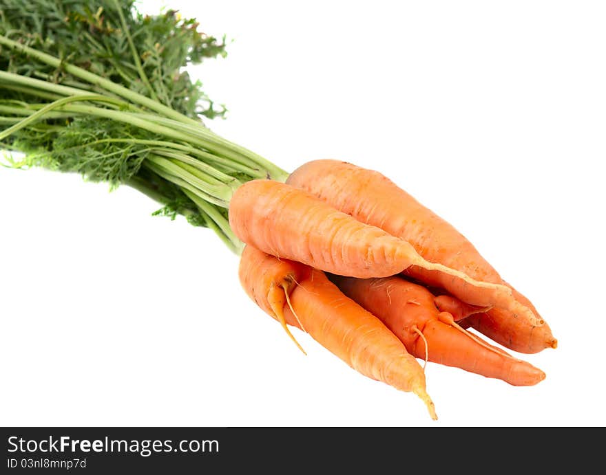 Carrots on a white background