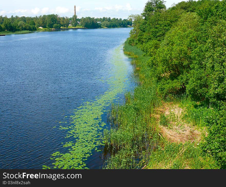 Green field near the river under blue sky