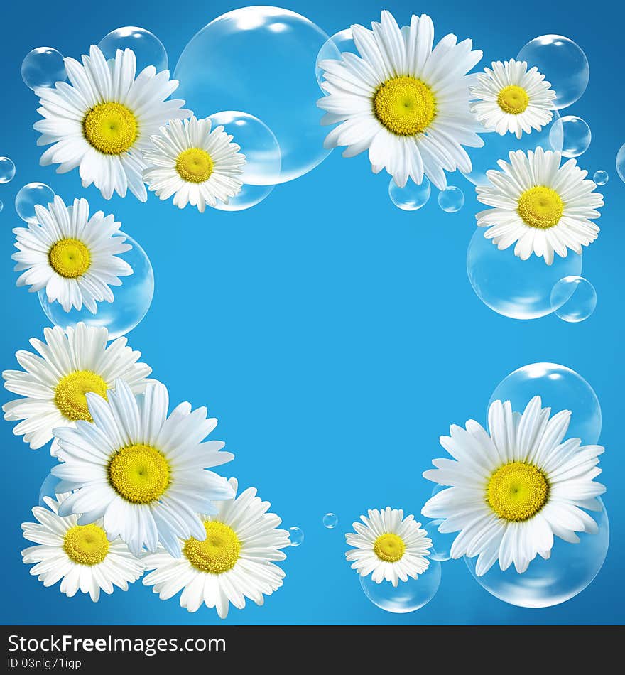 Abstract background with flowers and bubbles. Abstract background with flowers and bubbles