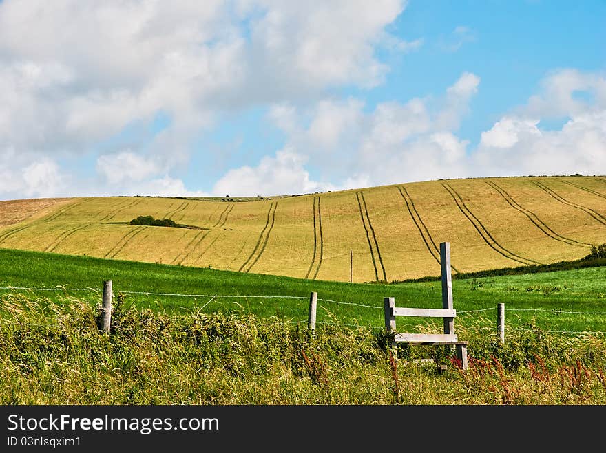 Stile And Cornfield